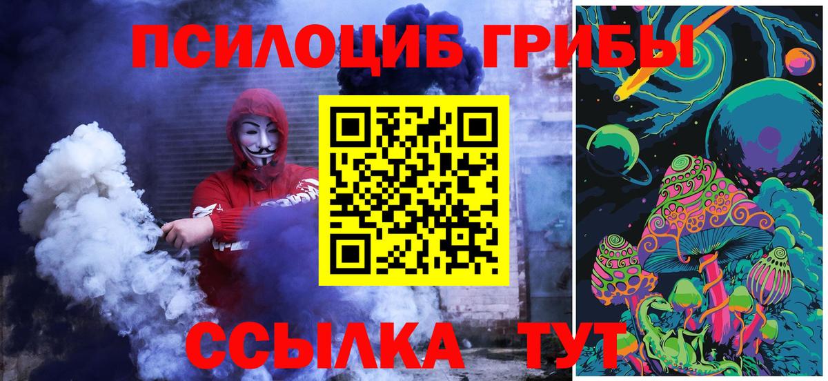 Гусев  Псилоцибиновые грибы Magic Shrooms  Вход с VPN 