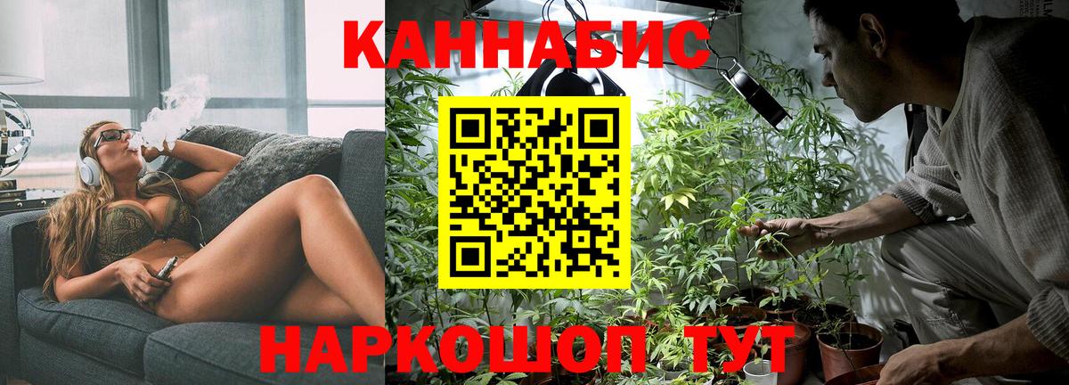 Бошки марихуана Amnesia Гусев